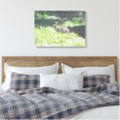 Wild Bunny Foto op Canvas Afdruk (Insitu (Slaapkamer))