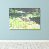 Wild Bunny Foto op Canvas Afdruk (Insitu (Houten vloer))