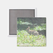 Wild Bunny Magnet (Voorkant / Achterkant)