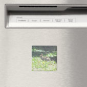Wild Bunny Magnet (Insitu (Vaatwasser))