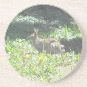 Wild Bunny Onderzetters