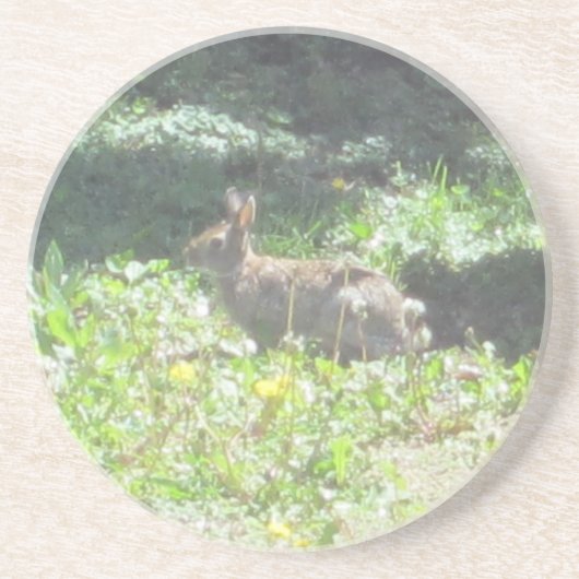 Wild Bunny Onderzetters (Voorkant)