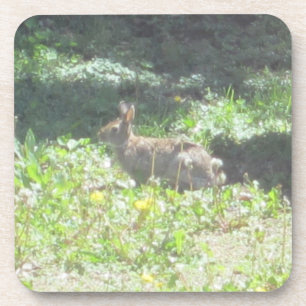 Wild Bunny-Onderzetters - set van 6 Drankjes Onderzetter