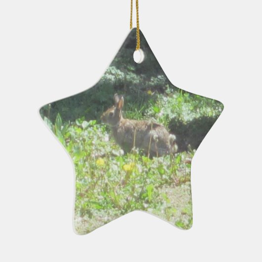 Wild Bunny Ornament (Rechts)