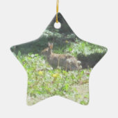 Wild Bunny Ornament (Voorkant)