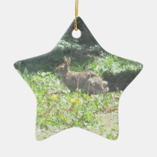 Wild Bunny Ornament (Voorkant)