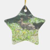 Wild Bunny Ornament (Achterkant)