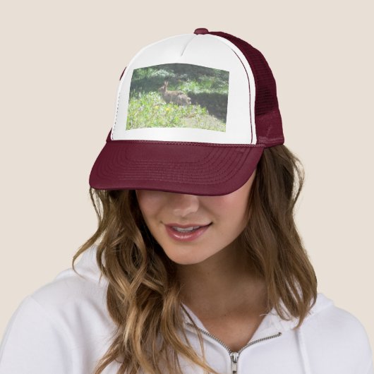 Wild Bunny Pet (In situ)