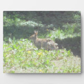 Wild Bunny Plaque Fotoplaat (Voorkant)