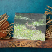 Wild Bunny Plaque Fotoplaat (Zijkant)