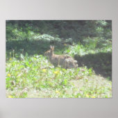 Wild Bunny Print (Voorkant)