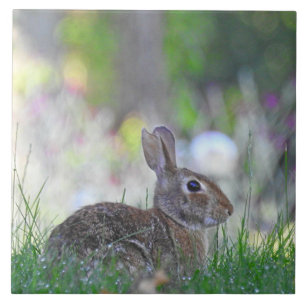 Wild Bunny Rabbit in The Grass Tegeltje