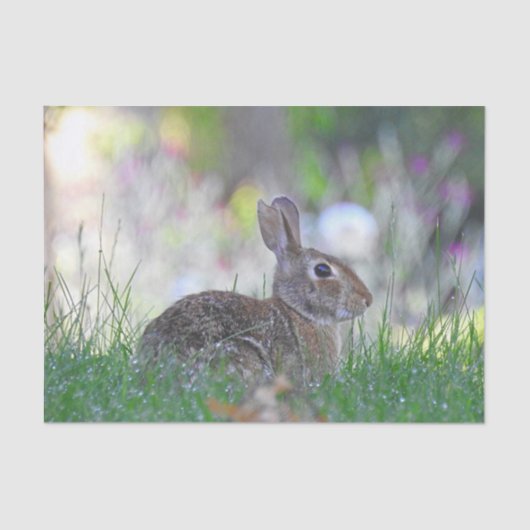 Wild Bunny Rabbit in The Grass Tissuepapier (Voorkant)