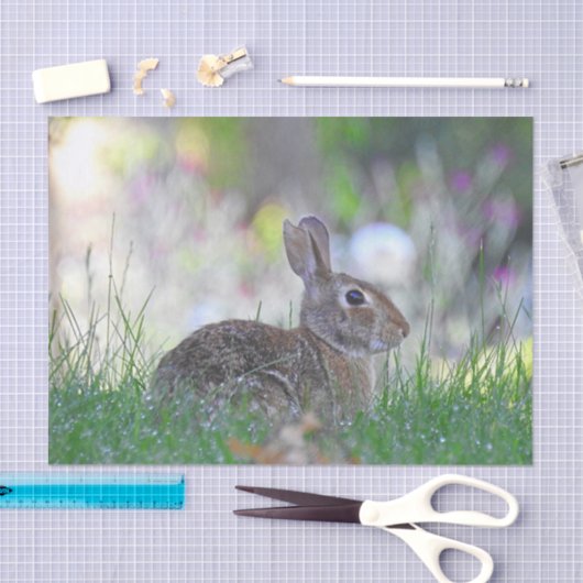 Wild Bunny Rabbit in The Grass Tissuepapier (Craft)
