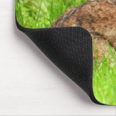 Wild Bunny Rabbit Muismat (Hoek)