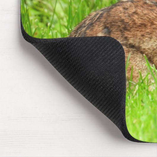 Wild Bunny Rabbit Muismat (Hoek)