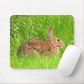 Wild Bunny Rabbit Muismat (Met muis)