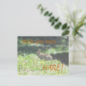 Wild Bunny "Wens dat je HARE was!" Briefkaart (Staand voorkant)