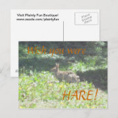 Wild Bunny "Wens dat je HARE was!" Briefkaart (Voorkant / Achterkant)