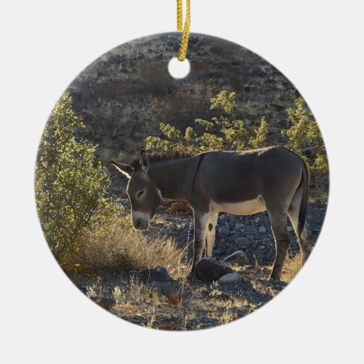 Wild Burro bij Oatman, Arizona Keramisch Ornament (Voorkant)
