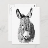 Wild Burro Briefkaart (Voorkant / Achterkant)