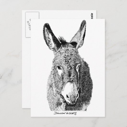 Wild Burro Briefkaart (Voorkant / Achterkant)