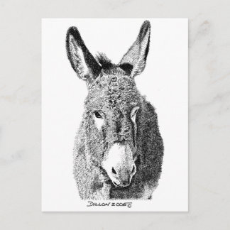 Wild Burro Briefkaart