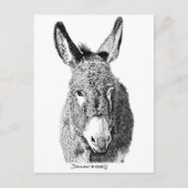 Wild Burro Briefkaart (Voorkant)