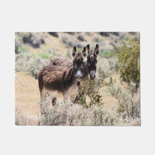 Wild Burro Couple in Central Nevada Deurmat (Voorkant)