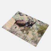 Wild Burro Couple in Central Nevada Deurmat (Schuin)