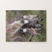 Wild Burro Family Legpuzzel (Horizontaal)