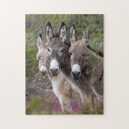 Wild Burro Family Legpuzzel