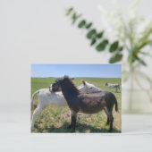 Wild Burros, Custer State Park, South Dakota Briefkaart (Staand voorkant)