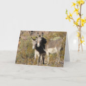 Wild Burros Greeting Kaart (Gele Bloem)