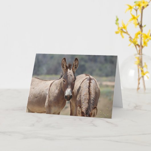 Wild Burros Greeting Kaart (Gele Bloem)