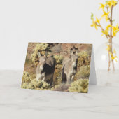 Wild Burros Greeting Kaart (Gele Bloem)