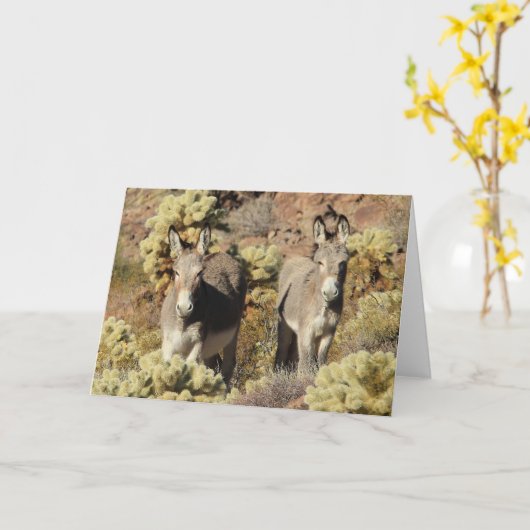 Wild Burros Greeting Kaart (Gele Bloem)