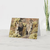 Wild Burros Greeting Kaart (Voorkant)