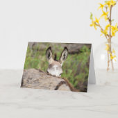 Wild Burros Greeting Kaart (Gele Bloem)