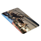 Wild Burros in Oatman, Arizona Magneet (Rechterzijde)