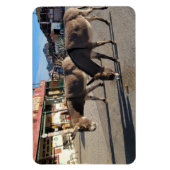 Wild Burros in Oatman, Arizona Magneet (Verticaal)