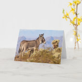 Wild Burros of Arizona Kaart (Gele Bloem)