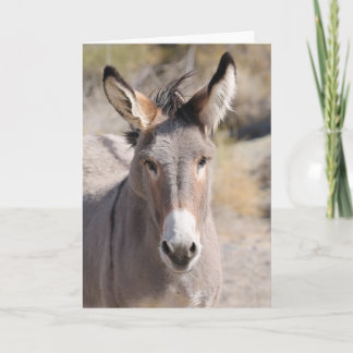 Wild Burros of California Kaart