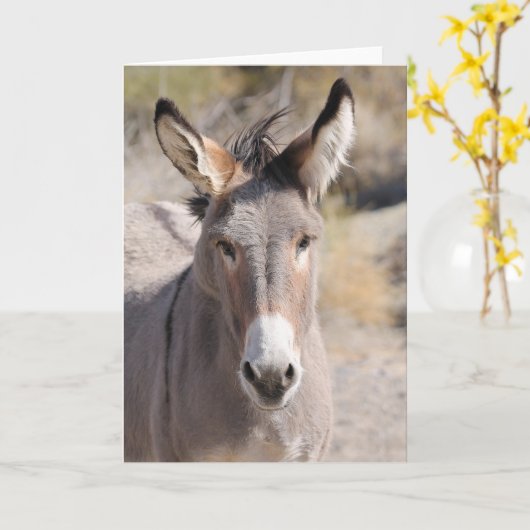 Wild Burros of California Kaart (Gele Bloem)