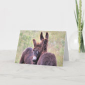 Wild Burros of the West Kaart (Voorkant)