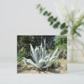 Wild Cactus Briefkaart (Staand voorkant)