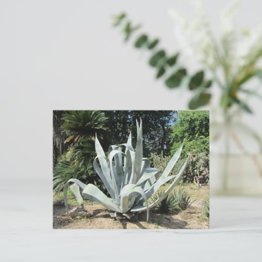 Wild Cactus Briefkaart (Staand voorkant)