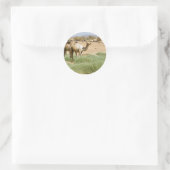 Wild Camels Ronde Sticker (Tas)
