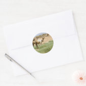 Wild Camels Ronde Sticker (Envelop)