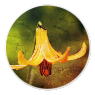 Wild Canada Lily met Insect Abstract Keramische Knop